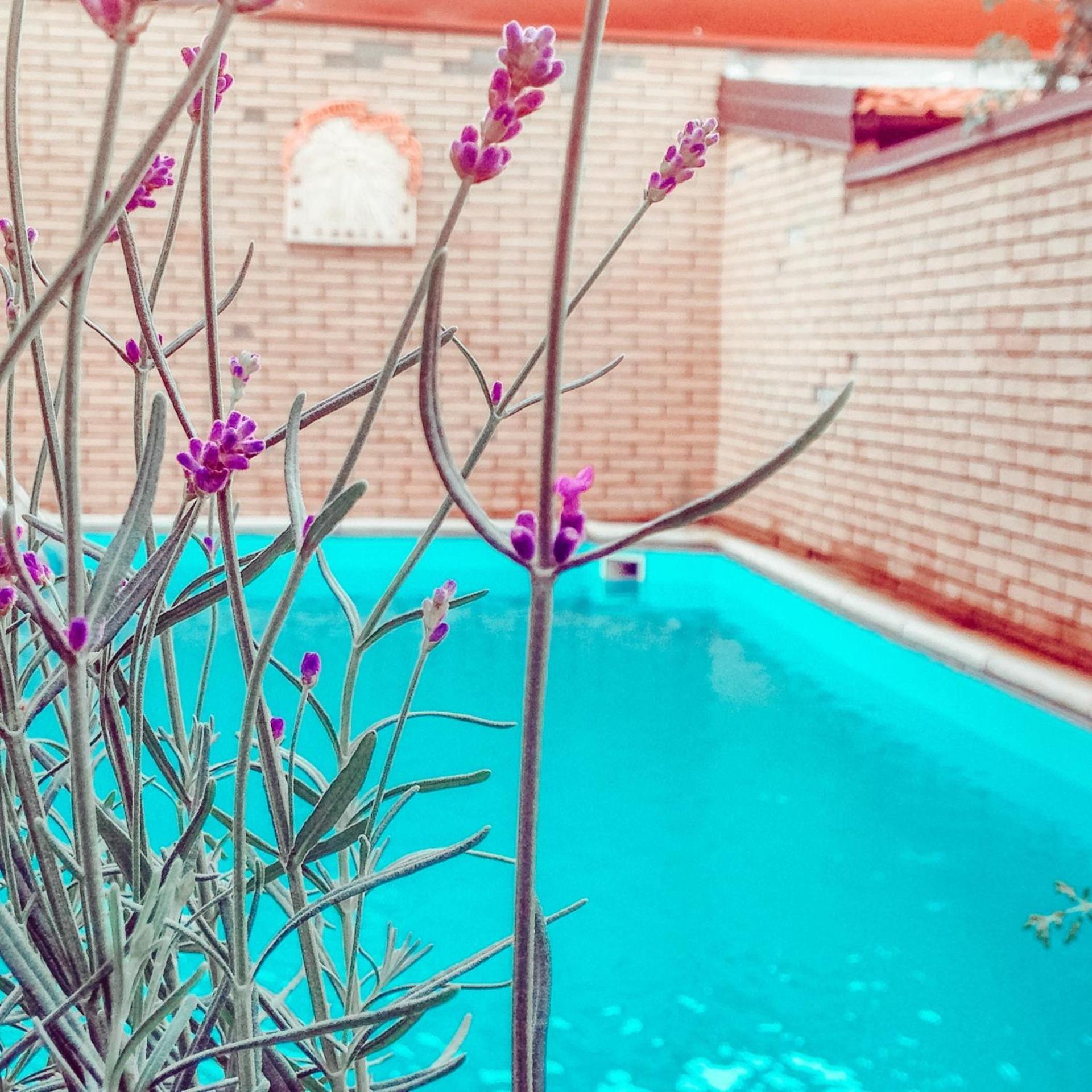 La Villa Di Bambi Vanzago Экстерьер фото